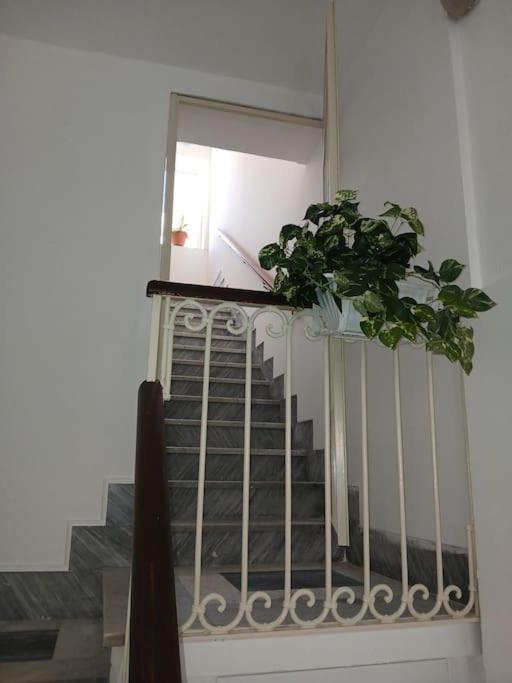 Lusiana Apartment Syracuse Exterior photo
